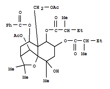 Molecular Structure of 142546-03-0 (Butanoic acid,2-methyl-,10-(acetyloxy)-5a-[(acetyloxy)methyl]-5-(benzoyloxy)octahydro-9-hydroxy-2,2,9-trimethyl-2H-3,9a-methano-1-benzoxepin-6,7-diylester (9CI))