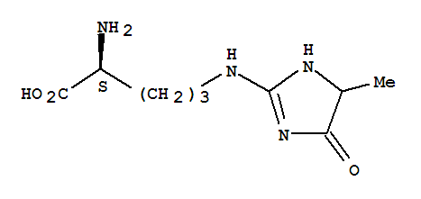 N5-(5-Hydro-5-methyl-4-imidazolon-2-yl) L-Ornithine