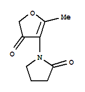 2-PYRROLIDIN-1-YLNE,1-(4,5-DIHYDRO-2-METHYL-4-OXO-3-FURANYL)-