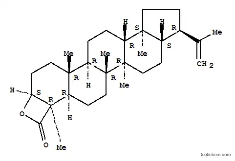 A'-Neogammacer-22(29)-en-23-oicacid, 3-hydroxy-, b-lactone, (3b,4b,21b)- (9CI)