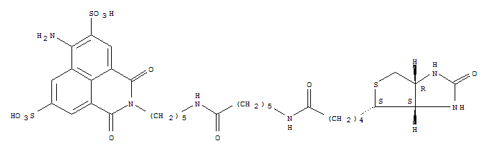 Molecular Structure of 156980-63-1 (1H-Benz[de]isoquinoline-5,8-disulfonicacid,6-amino-2-[5-[[6-[[5-[(3aS,4S,6aR)-hexahydro-2-oxo-1H-thieno[3,4-d]imidazol-4-yl]-1-oxopentyl]amino]-1-oxohexyl]amino]pentyl]-2,3-dihydro-1,3-dioxo-)