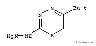 Molecular Structure of 158035-17-7 ((5-TERT-BUTYL-6H-[1,3,4]THIADIAZIN-2-YL)HYDRAZINE)