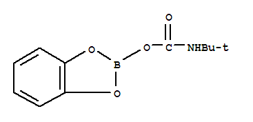 Molecular Structure of 16160-30-8 (1,3,2-Benzodioxaborole,2-[[[(1,1-dimethylethyl)amino]carbonyl]oxy]- (9CI))