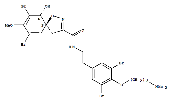 Molecular Structure of 167394-82-3 (1-Oxa-2-azaspiro[4.5]deca-2,6,8-triene-3-carboxamide,7,9-dibromo-N-[2-[3,5-dibromo-4-[3-(dimethylamino)propoxy]phenyl]ethyl]-10-hydroxy-8-methoxy-,(5S,10R)-)