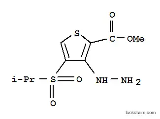 Molecular Structure of 175201-97-5 (METHYL 3-HYDRAZINO-4-(ISOPROPYLSULFONYL)THIOPHENE-2-CARBOXYLATE)