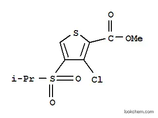 Molecular Structure of 175201-99-7 (METHYL 3-CHLORO-4-(ISOPROPYLSULFONYL)THIOPHENE-2-CARBOXYLATE)