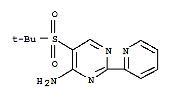 5-(tert-Butylsulfonyl)-2-(2-pyridyl)pyrimidin-4-amine , 97%
