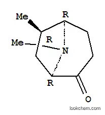 Molecular Structure of 197588-50-4 (8-Azabicyclo[3.2.1]octan-2-one,6,8-dimethyl-,(1R,5R,6R)-rel-(9CI))