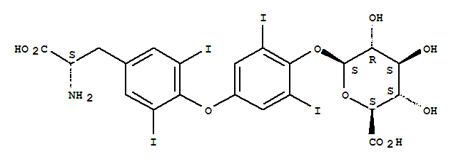 Levothyroxine phenolic glucuronide