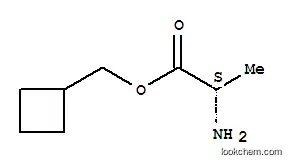 L-Alanine, cyclobutylmethyl ester (9CI)