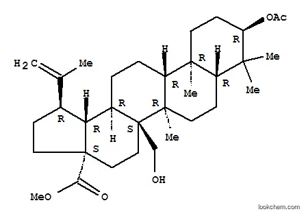 Molecular Structure of 263844-80-0 (3-Acetoxy-27-hydroxy-20(29)-lupen
-28-oic acid methyl ester)