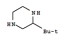 2-tert-butyl piperazine-2hcl
