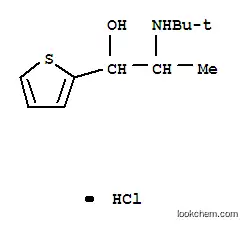 Molecular Structure of 31634-26-1 (2-(tert-butylamino)-1-(thiophen-2-yl)propan-1-ol hydrochloride (1:1))