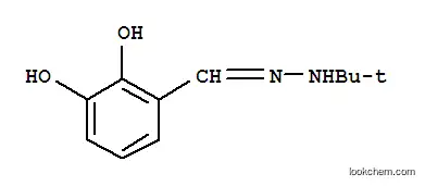 Benzaldehyde, 2,3-dihydroxy-, (1,1-dimethylethyl)hydrazone (9CI)