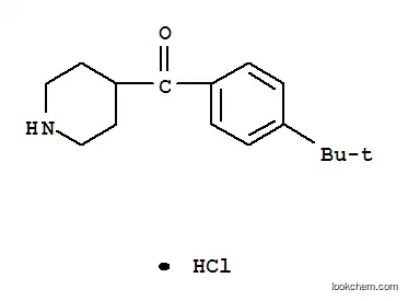 Molecular Structure of 42060-78-6 ((4-TERT-BUTYL-PHENYL)-PIPERIDIN-4-YL-METHANONE HYDROCHLORIDE)