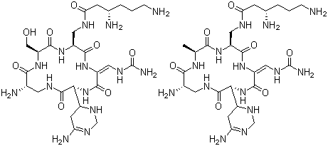 Capreomycin CAS No.11003-38-6