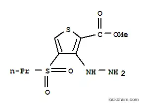 Molecular Structure of 175202-01-4 (METHYL 3-HYDRAZINO-4-(PROPYLSULFONYL)THIOPHENE-2-CARBOXYLATE)