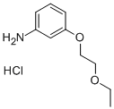3-(2-ETHOXYETHOXY)ANILINE HYDROCHLORIDE(1049787-84-9)
