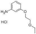 Molecular Structure of 1049787-84-9 (3-(2-ETHOXYETHOXY)ANILINE HYDROCHLORIDE)