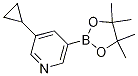 3-cyclopropyl-5-(4,4,5,5-tetramethyl-1,3,2-dioxaborolan-2-yl)pyridine