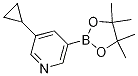 Molecular Structure of 1220696-43-4 (3-cyclopropyl-5-(4,4,5,5-tetramethyl-1,3,2-dioxaborolan-2-yl)pyridine)