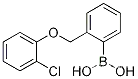 (2-((2-Chlorophenoxy)methyl)phenyl)boronic acid