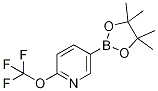 5-(4,4,5,5-Tetramethyl-1,3,2-dioxaborolan-2-yl)-2-(trifluoromethoxy)pyridine