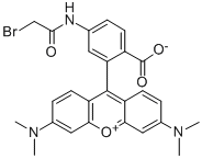 6-[Bromoacetamido]tetramethyl Rhodamine