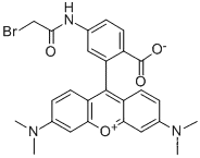 6-[Bromoacetamido]tetramethylrhodamine