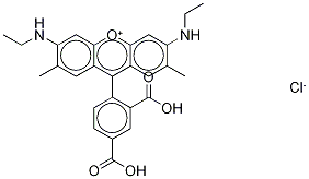 5-carboxyrhodamine-6G CAS No.180144-69-8