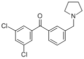 3,5-DICHLORO-3'-PYRROLIDINOMETHYL BENZOPHENONE