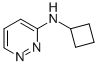 Cyclobutyl-pyridazin-3-yl-amine