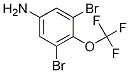3,5-dibromo-4-(trifluoromethoxy)aniline
