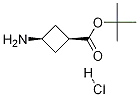 cis-tert-butyl 3-aMinocyclobutanecarboxylate hydrochloride