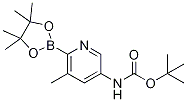 Boc-5-AMino-3-Methylpyridine-2-boronic acid pinacol ester