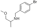 (4-bromobenzyl)(2-methoxy-1-methylethyl)amine(SALTDATA: HBr)