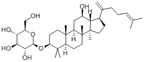 Ginsenoside Rk2 CAS No:364779-14-6