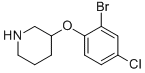3-(2-Bromo-4-chloro-phenoxy)-piperidine