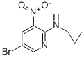 Molecular Structure of 1010422-24-8 ((5-BROMO-3-NITRO-PYRIDIN-2-YL)-CYCLOPROPYL-AMINE)