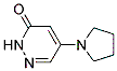 5-(1-pyrrolidinyl)-3(2H)-pyridazinone(SALTDATA: FREE)