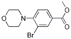 Methyl 3-broMo-4-Morpholinobenzoate