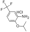 [2-isopropoxy-5-(trifluoromethyl)phenyl]amine hydrochloride(SALTDATA: FREE)