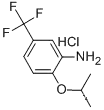 Molecular Structure of 121307-23-1 (2-ISOPROPOXY-5-TRIFLUOROMETHYL-PHENYLAMINE HYDROCHLORIDE)