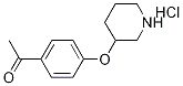 Molecular Structure of 1219976-42-7 (1-[4-(3-Piperidinyloxy)phenyl]-1-ethanonehydrochloride)