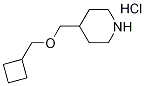 4-((Cyclobutylmethoxy)methyl)piperidine hydrochloride