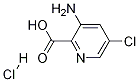 3-AMino-5-chloropyridine-2-carboxylic acid hydrochloride