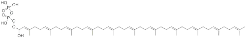 Molecular Structure of 23-13-2 ((hydroxy-(3,7,11,15,19,23,27,31,35,39,43-undecamethyltetratetraconta-2,6,10,14,18,22,26,30,34,38,42-undecaenoxy)phosphoryl)oxyphosphonic acid)
