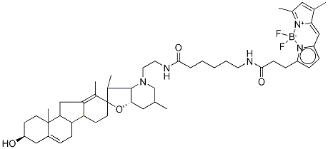 Molecular Structure of 334658-24-1 (BODIPY CYCLOPAMINE)