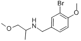 Molecular Structure of 352436-21-6 (N-(3-bromo-4-methoxybenzyl)-1-methoxypropan-2-amine)