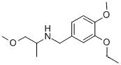 Molecular Structure of 356091-97-9 (N-(3-ethoxy-4-methoxybenzyl)-1-methoxypropan-2-amine)